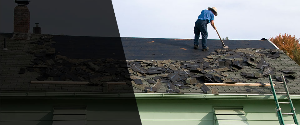 Dalmatia Roofing Contractors
