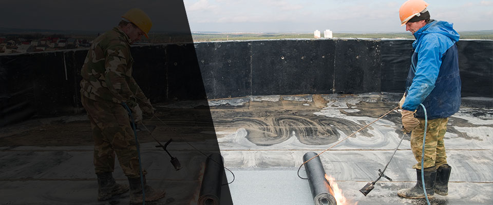 Dalmatia Roofing Contractors